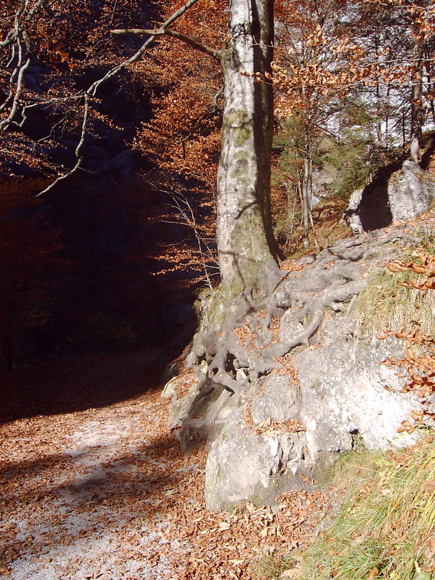 Pension Alpenstern Oberau Luaran gambar