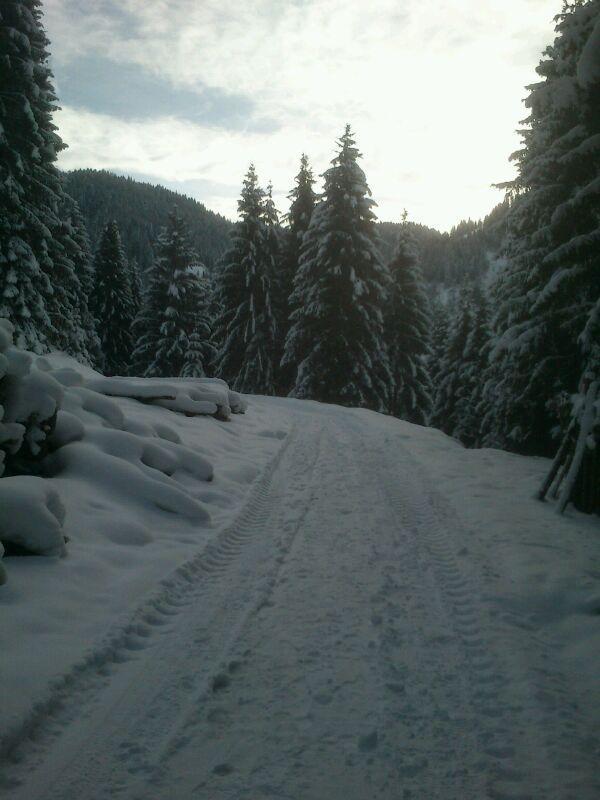 Pension Alpenstern Oberau Luaran gambar